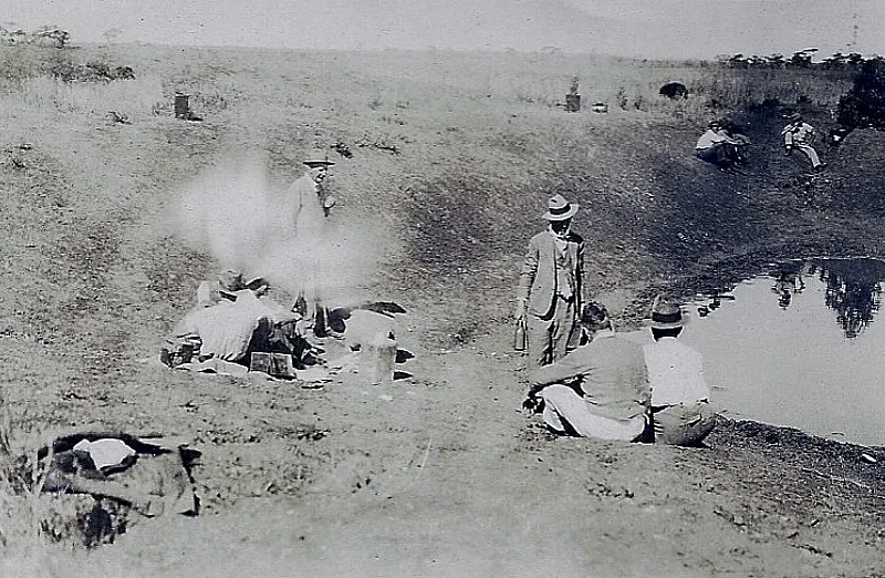 En 1932, Australia mandó soldados con ametralladoras a acabar con 20.000 emús: un mes después, el ejército se retiró y las aves ganaron la guerra