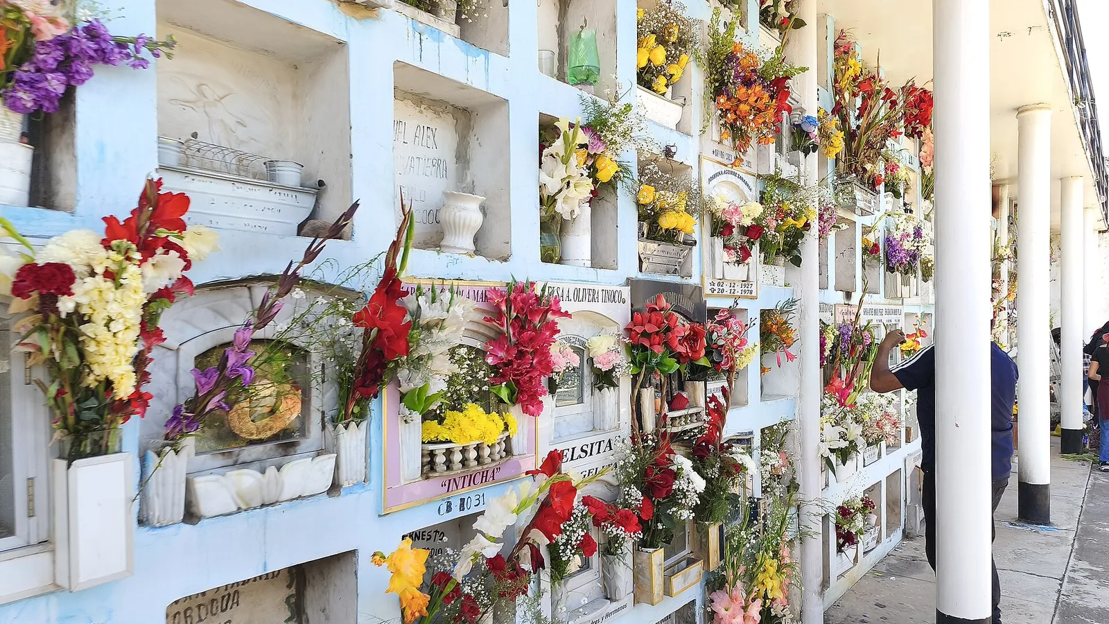 Nichos de un cementerio adornados con ramos de flores