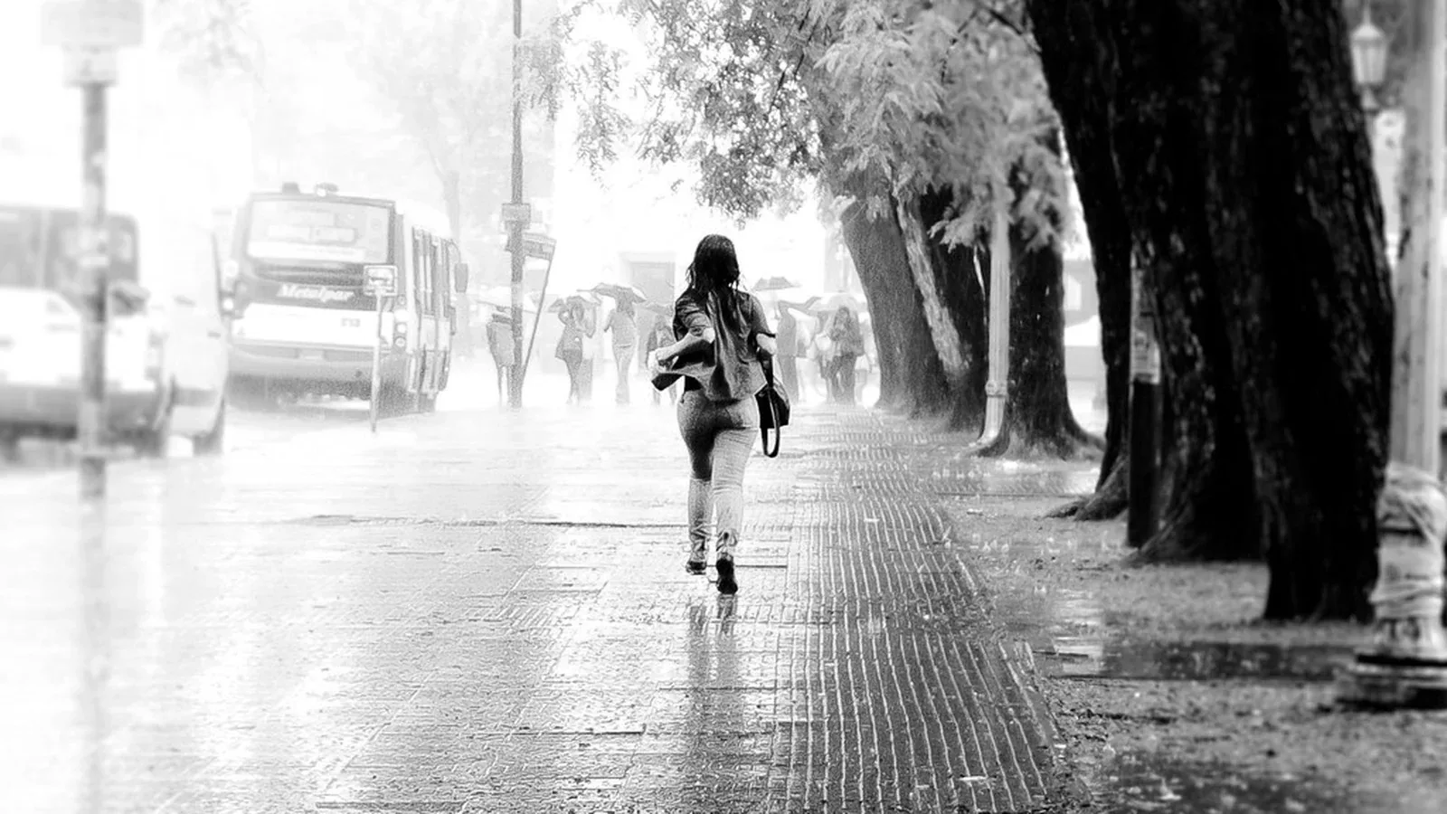 Una mujer camina bajo la lluvia por una avenida arbolada