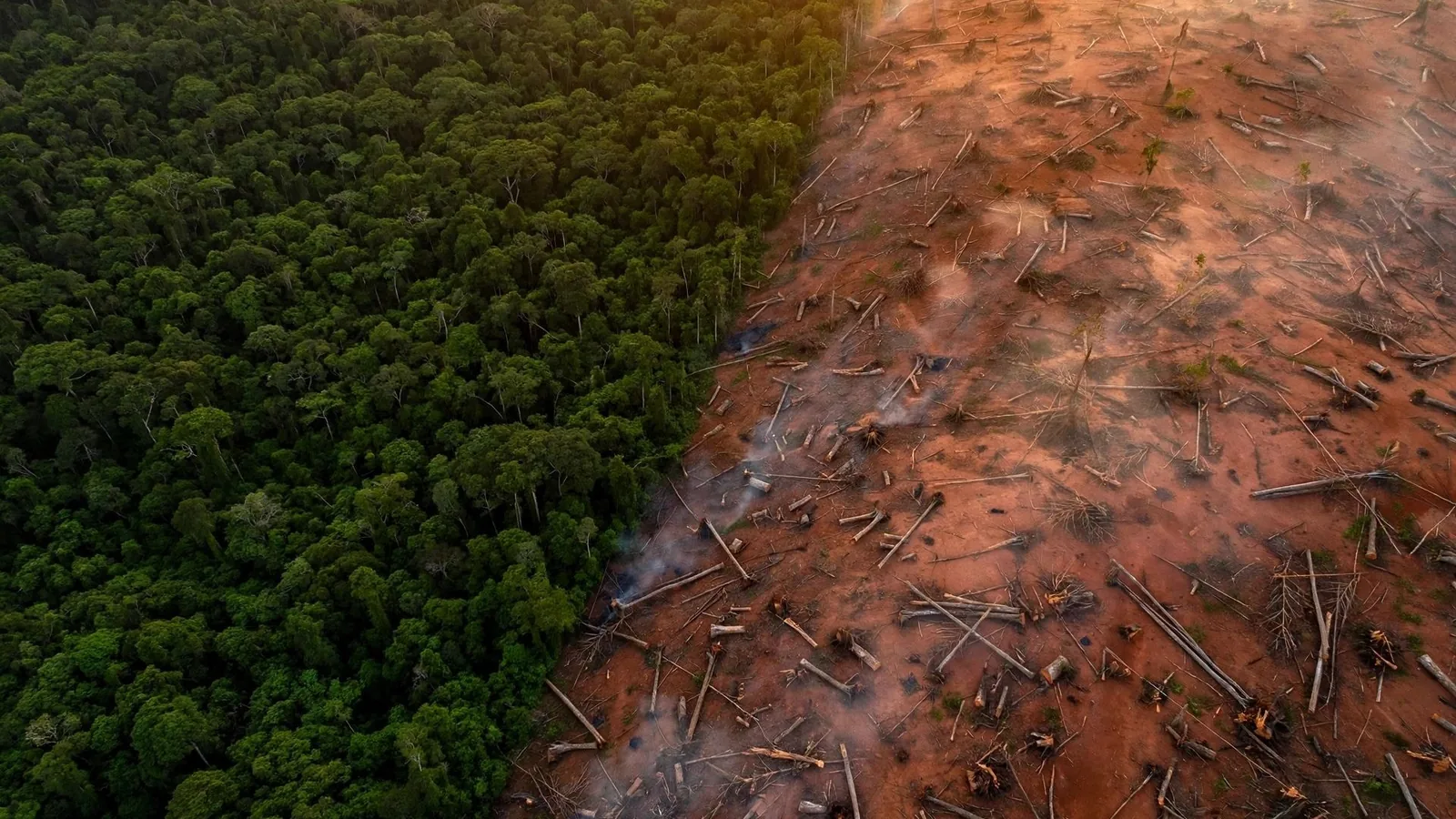 Vista aérea de la selva: a un lado bosque tropical denso y verde, al otro tierra rojiza talada con troncos caídos y humo