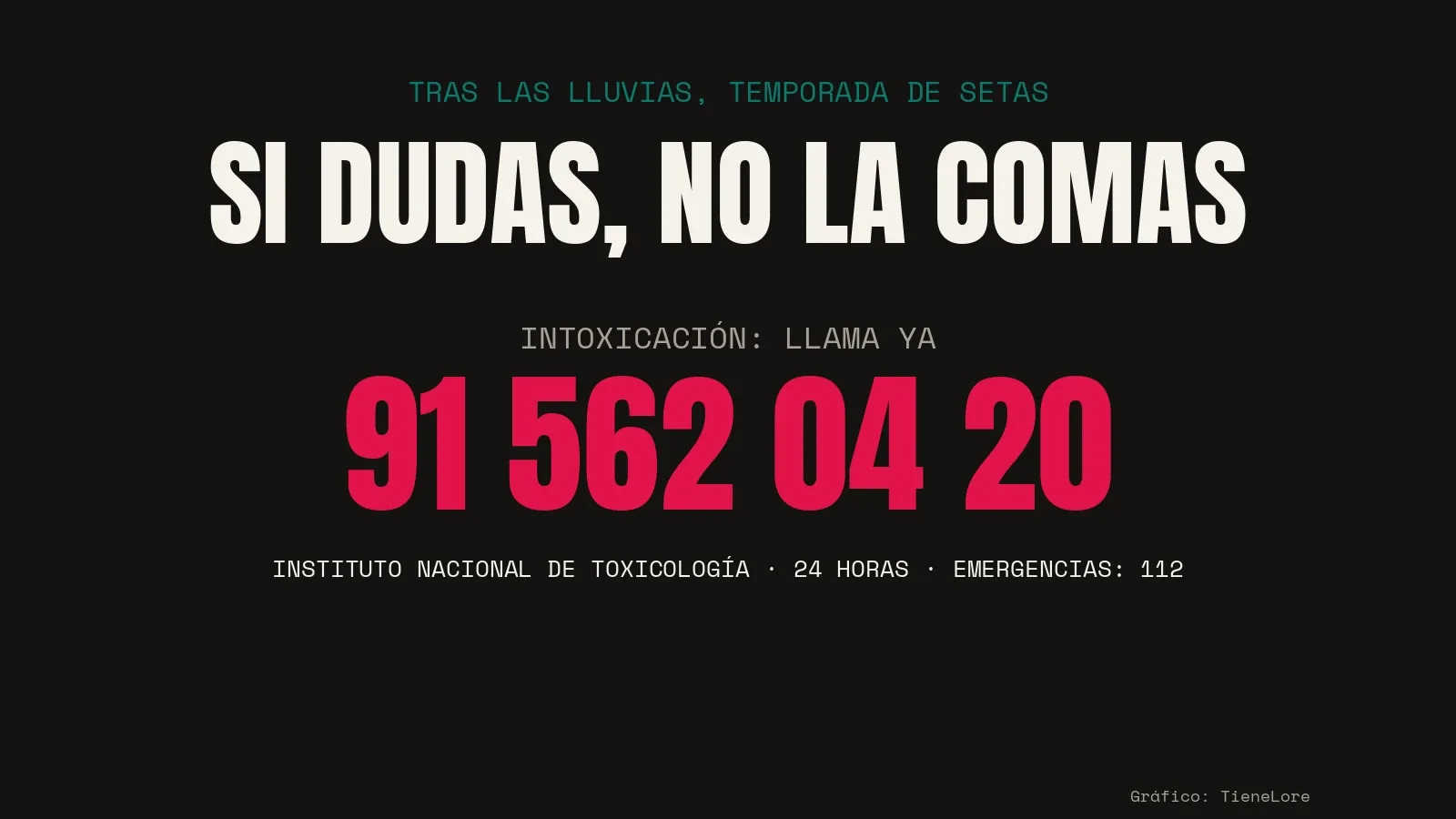 Setas: si dudas, no la comas. Teléfono de Toxicología 91 562 04 20